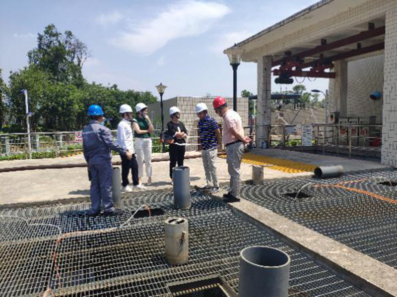 20200610-31.jpg 20200610-31.jpg