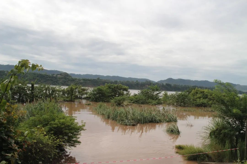 20200820-11.png 20200820-11.png