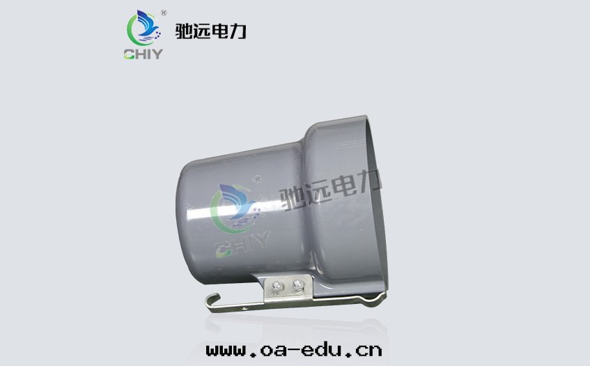 左(zuǒ)側面(miàn)