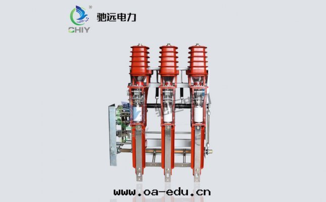 FZN25-12RD /630-20高(gāo)压真(zhēn)空(kōng)負荷開(kāi)關(guān)