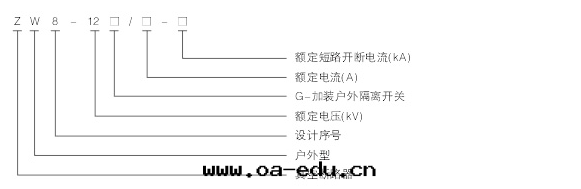 真(zhēn)空(kōng)斷路(lù)器型号(hào)说(shuō)明