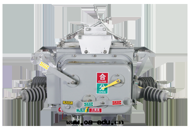 真(zhēn)空(kōng)斷路(lù)器 真(zhēn)空(kōng)斷路(lù)器